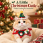 Christmas Crochet Cat Hats & Collars — Festive Pet Accessories